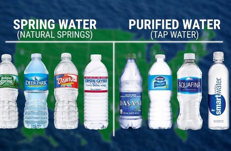 Purified Water vs Spring Water