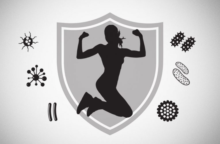 Fitness Exercise And The Immune System