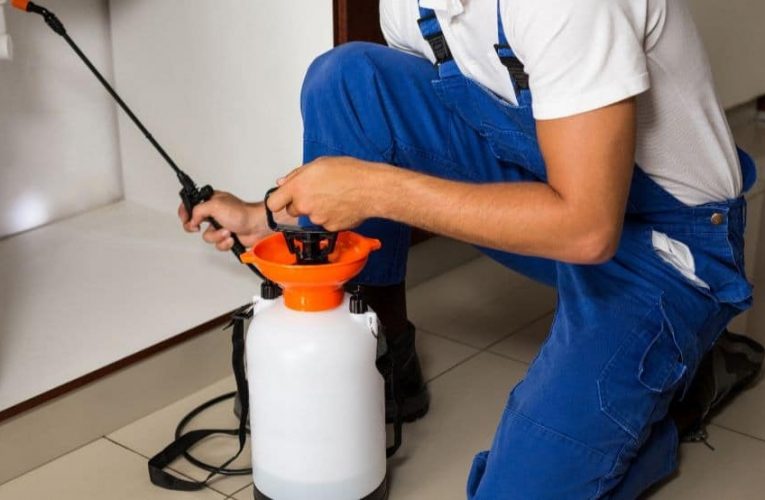 Treatments for pest control are a one-time service that is necessary for your safety and comfort