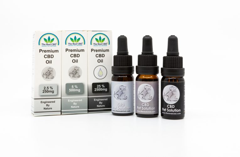 CBD for pets can be bought online easily